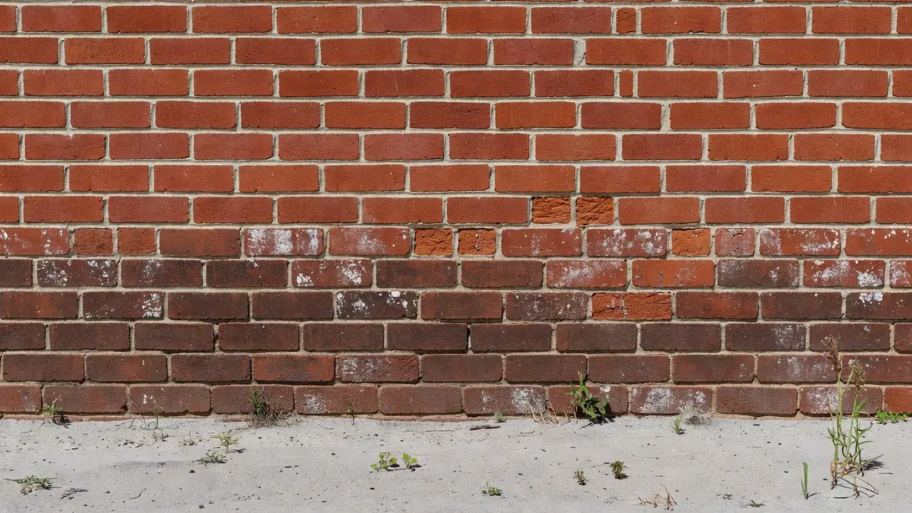 The lowest courses of a red face-brick wall, darker with damp and white salt, with powdery mortar and some flaking brick faces.