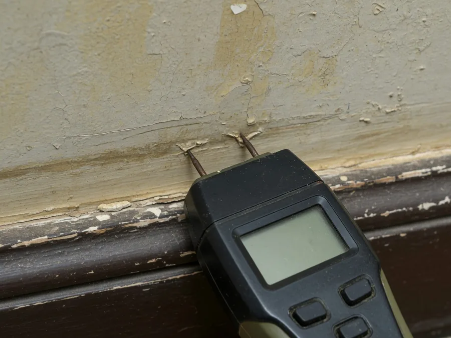 A moisture meter held against a wall taking a reading.